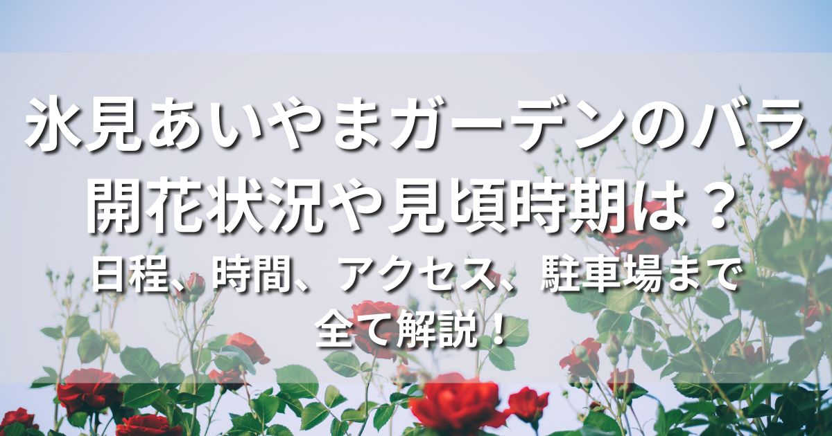 氷見あいやまガーデン　バラ　開花状況　見頃時期　日程　時間　アクセス　駐車場