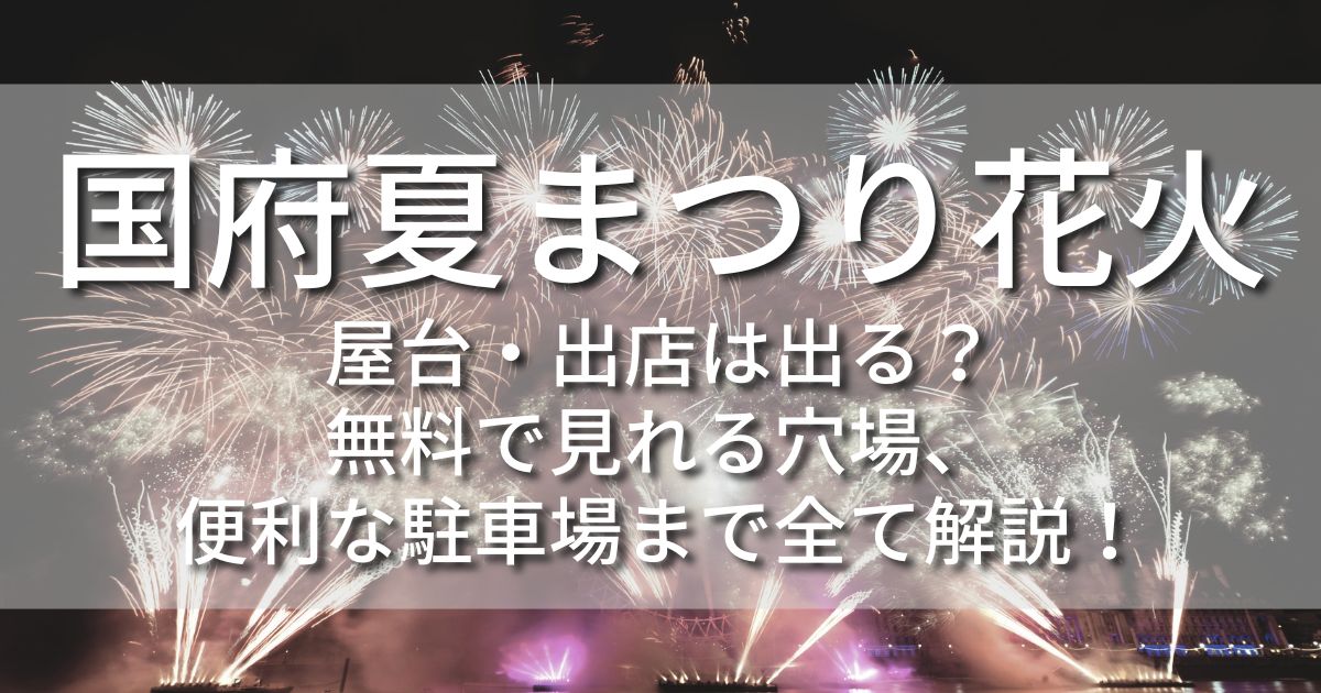 豊川市　国府夏まつり　花火　屋台　出店　駐車場